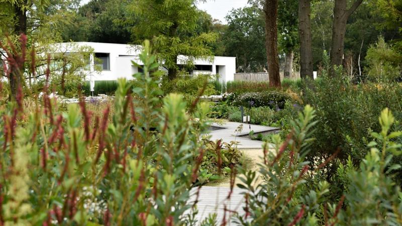 Natuurhuisje Bergvliet - Nature, Golf & Wellness 奥斯特豪特 外观 照片